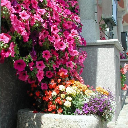 Hotel Sammer Neufelden Ngoại thất bức ảnh