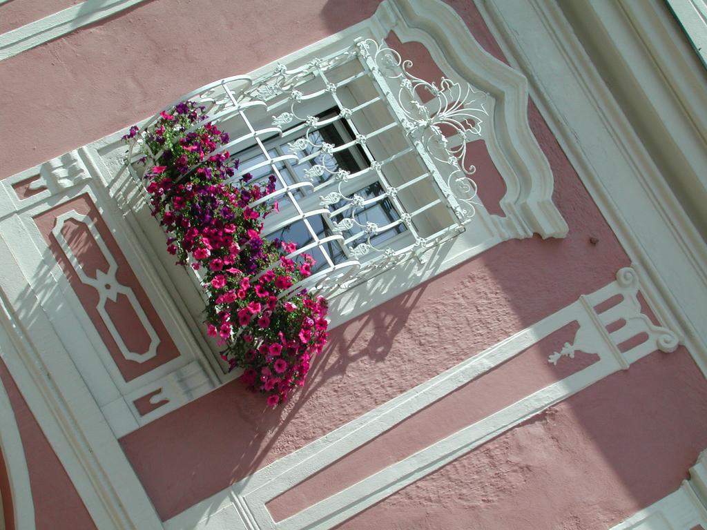 Hotel Sammer Neufelden Ngoại thất bức ảnh